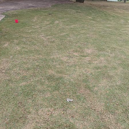 Camping Rancho Caipira Socorro  Bagian luar foto